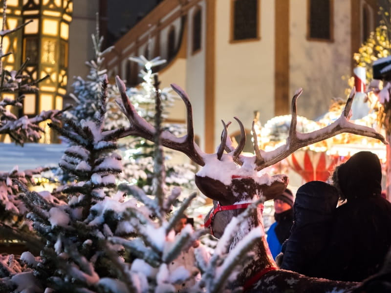 Kinder-Weihnachtsland: Impressionen 7 - Weihnachtsmarkt Fulda